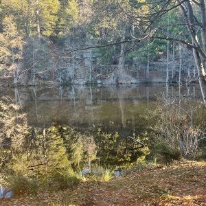 Meet your Posher, Flor